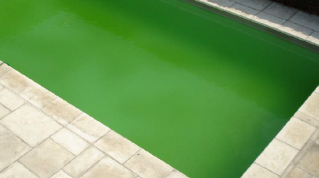 groen water zwembad